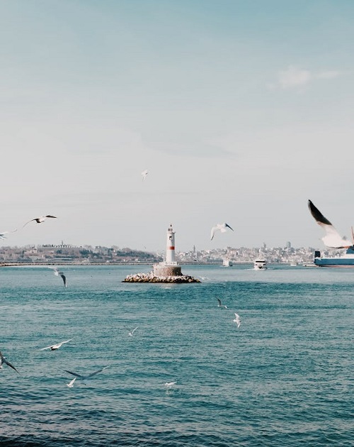 Kadıköy sahilinde gün doğumuyla başlayan balık avı keyfi
